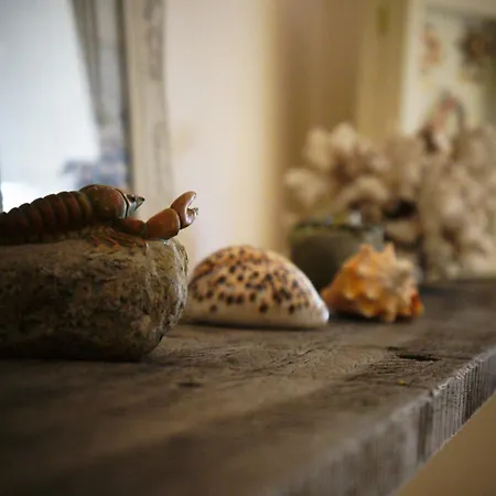 Bed & Breakfast Oesterhoeve