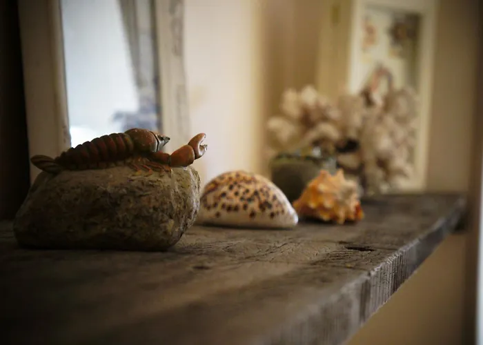 Bed & Breakfast Oesterhoeve